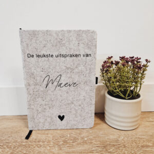 Uitsprakenboekje vilt (2)